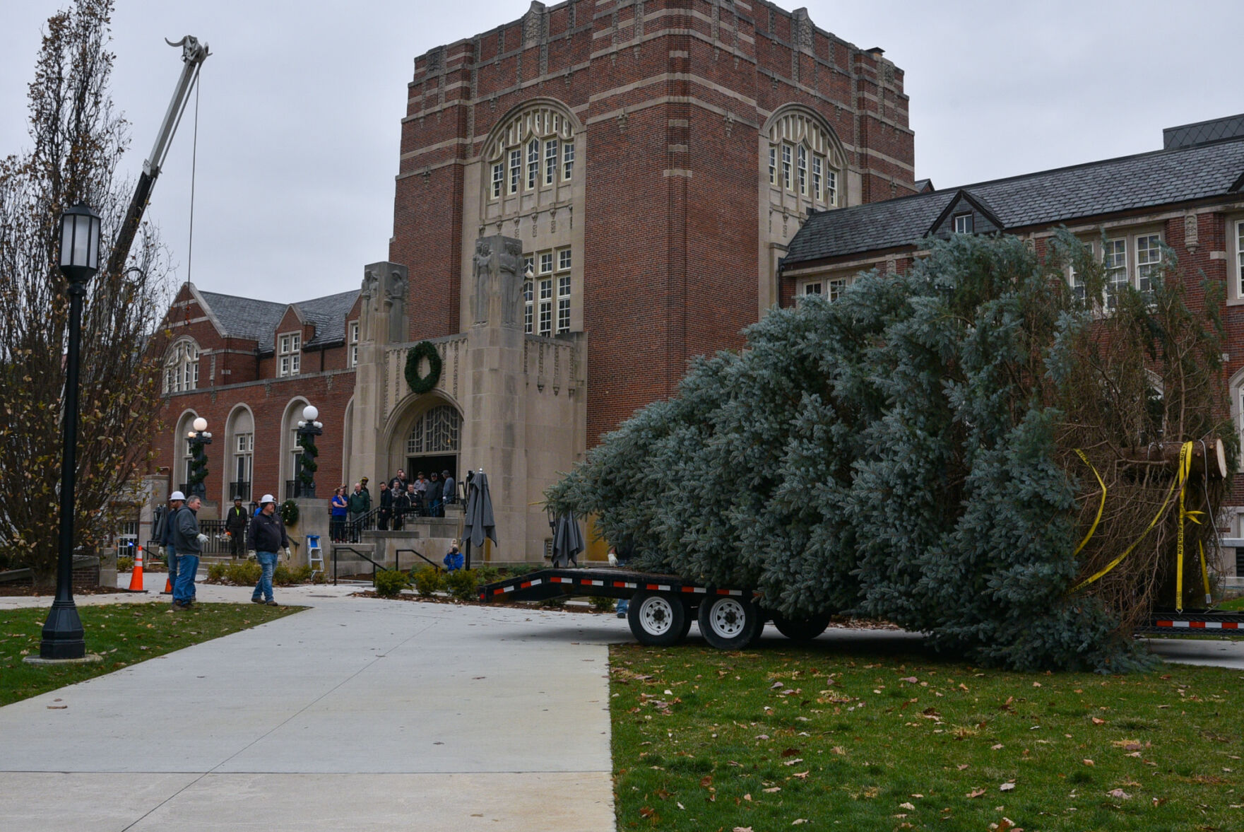 11/28/22 PMU Christmas tree arrives from Lafayette, tree arrives
